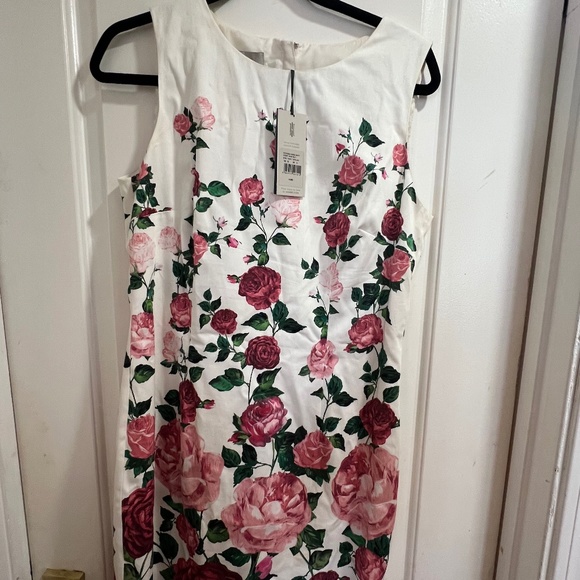 NEW Hobbs Victoria Rose Shift Ivory Pink Dress Sz 8 - Picture 1 of 4